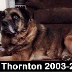 Rocky Thornton .2003-2015